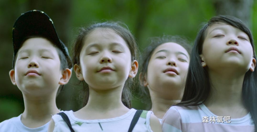 西安七夕公园,西安七夕公园有什么好玩的