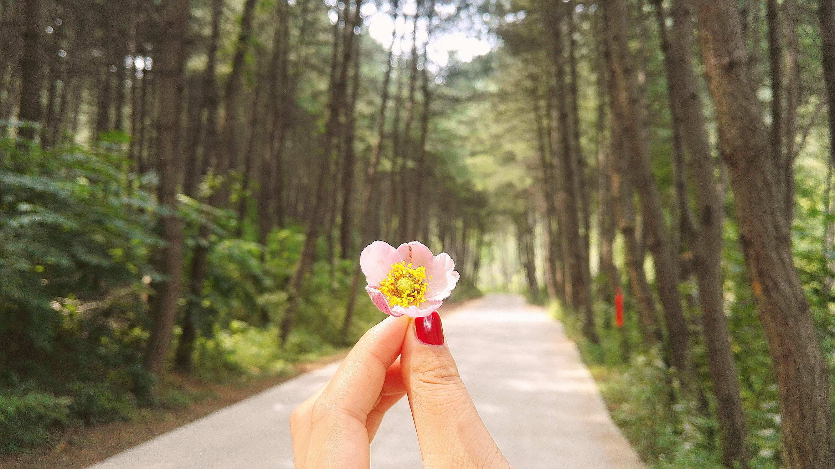 西安七夕公园,西安七夕公园有什么好玩的