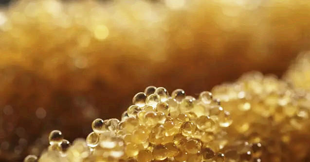 澳门豆捞创始人苦寻神秘食材，做了一颗让吃货泪流满面的小丸子