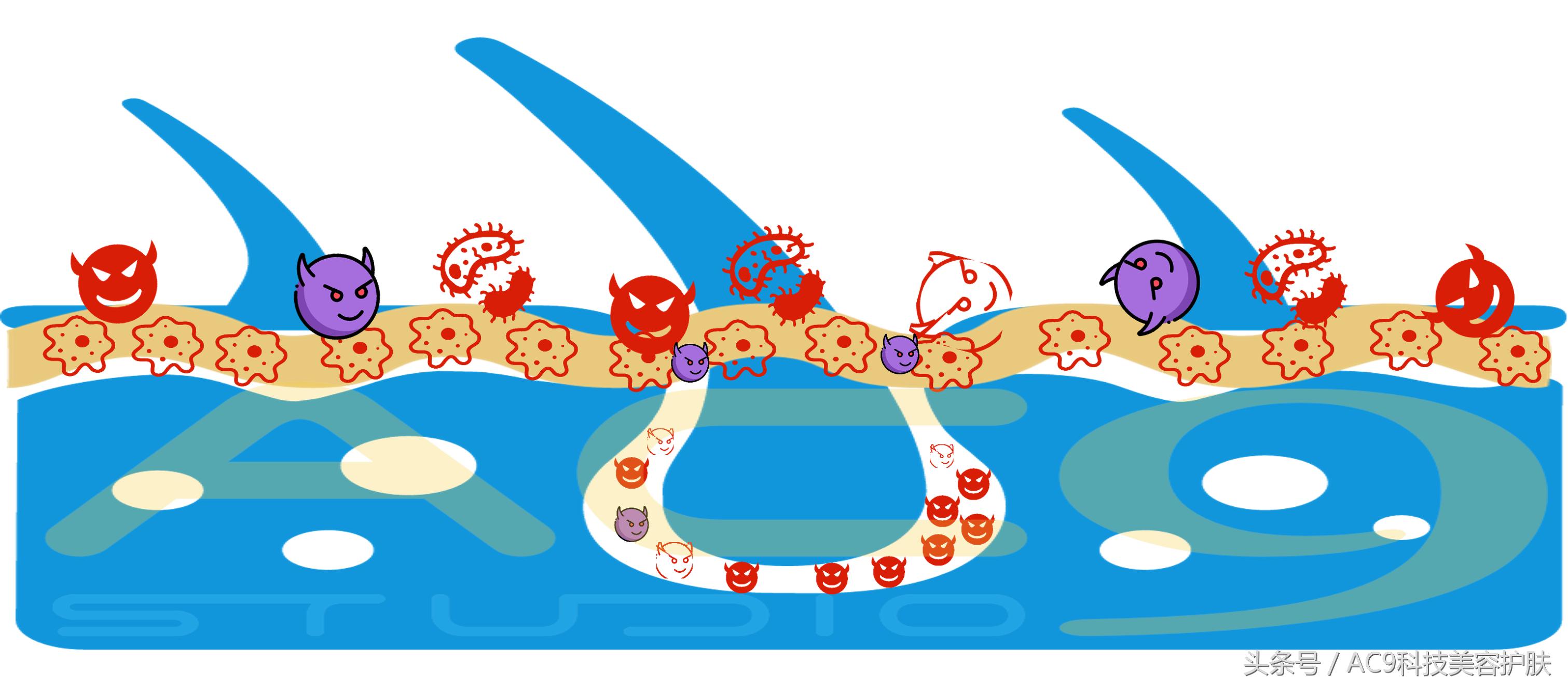 家里用什么洗脸可以清洁皮肤,用什么洗脸清洁皮肤