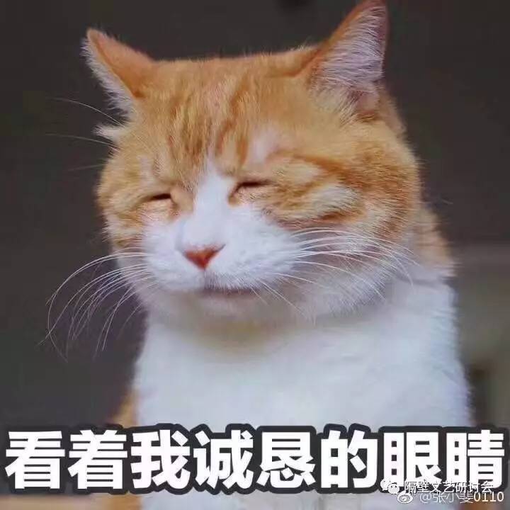 郑爽写书发旧糖？对不起，分手以后的打扰都叫“炒作”