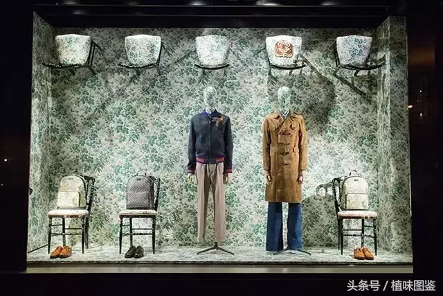 不出国门就能买到全球好物,不出家门看遍世界