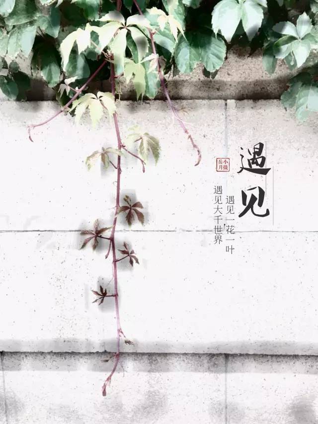 能使手机照片变水墨画的软件,手机怎样把照片变成水墨效果