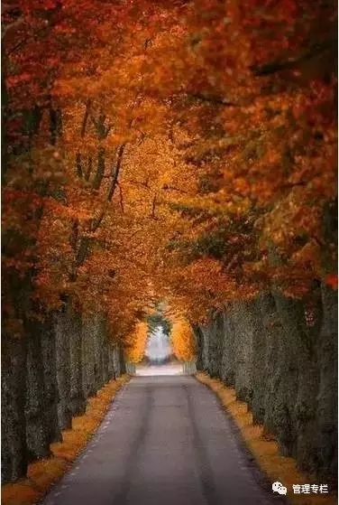 厚黑学目的是让人厚道还是厚黑,厚黑学五个厚黑秘诀