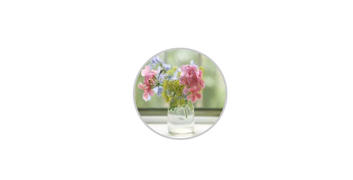 手机上有没有一个软件,手机里都有什么app