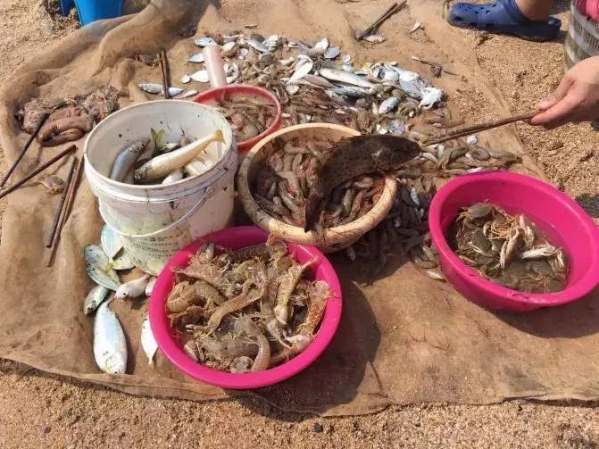 开海不开海去饭店吃海鲜有区别吗,开海了南宁去哪里买海鲜