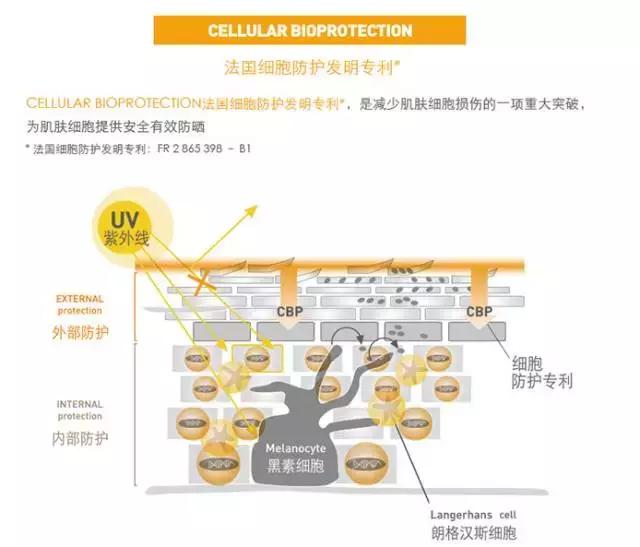 欧尼护肤推荐,欧尼BB霜油皮防晒推荐