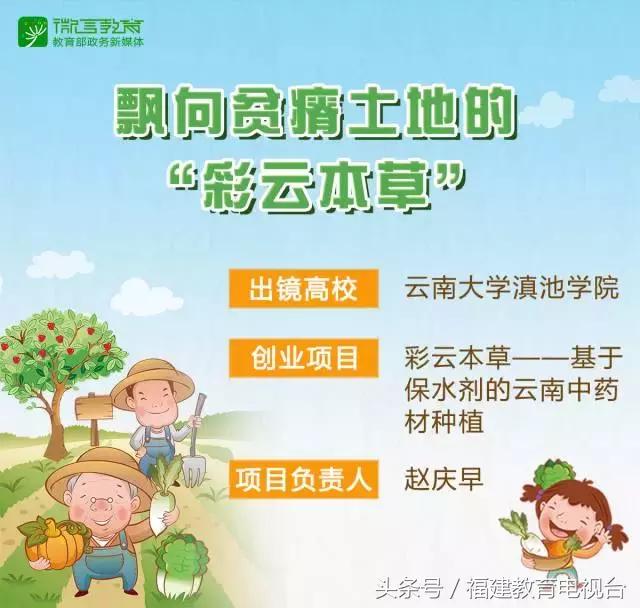 厦大创业团队卖农产品获总书记点赞这样的大学生团队都有啥故事?