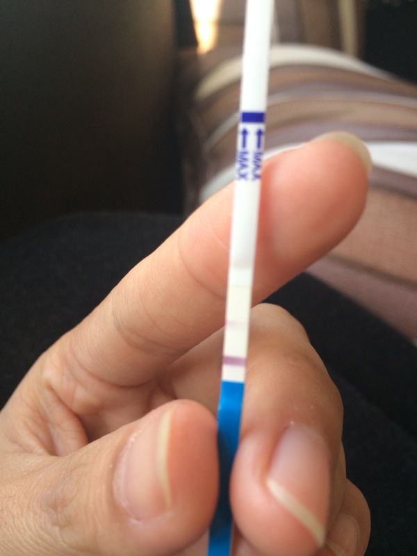 官方好孕了抓住强阳6-12小时同房转弱后再同房一次