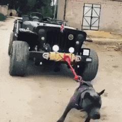 62岁机车老奶奶,机车奶奶年轻照片