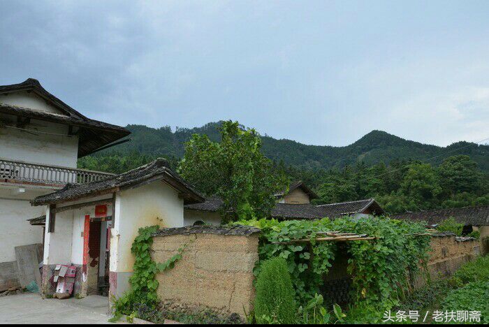 真实的故事：两个孙子因吃了奶奶放在饭桌上的花生，而引发身亡