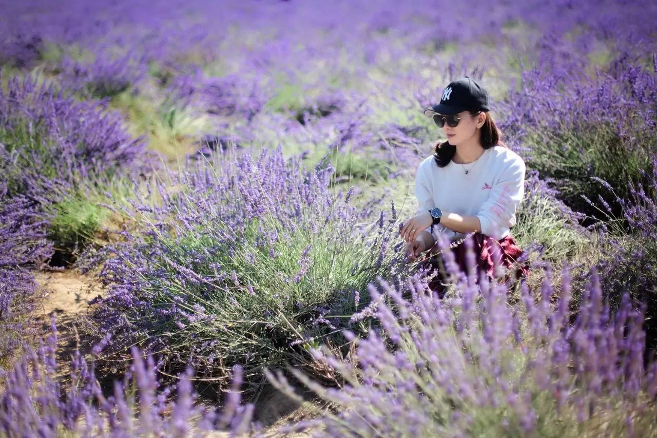大手牵小手我们一起走,大手牵小手我们一起走图片