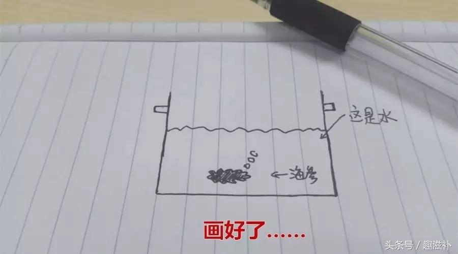 自己泡发的海参要煮多久,泡发海参的感受