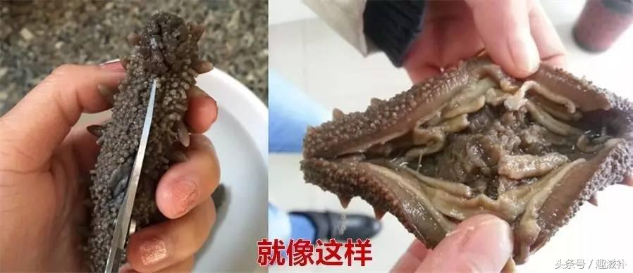 自己泡发的海参要煮多久,泡发海参的感受