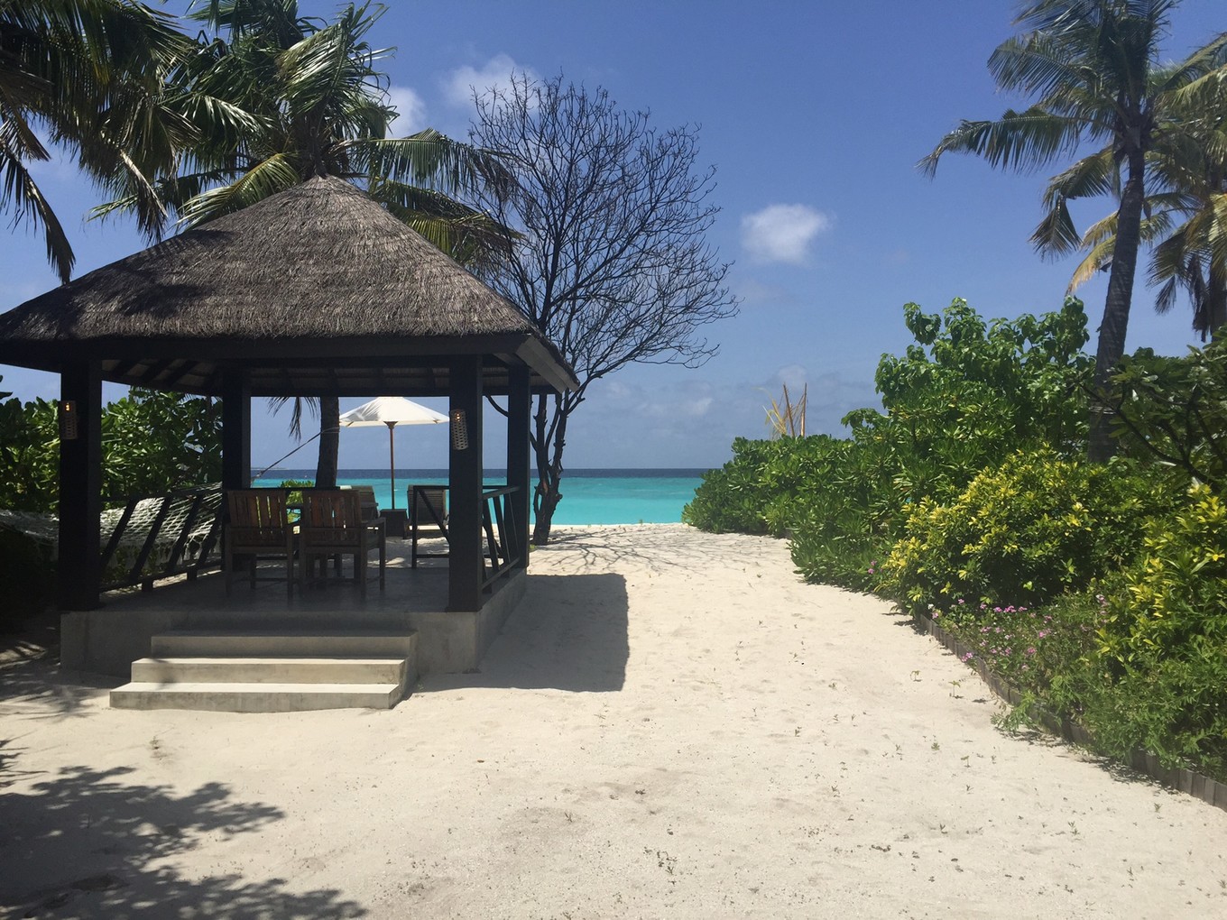 马尔代夫来北京,马尔代夫来三里屯