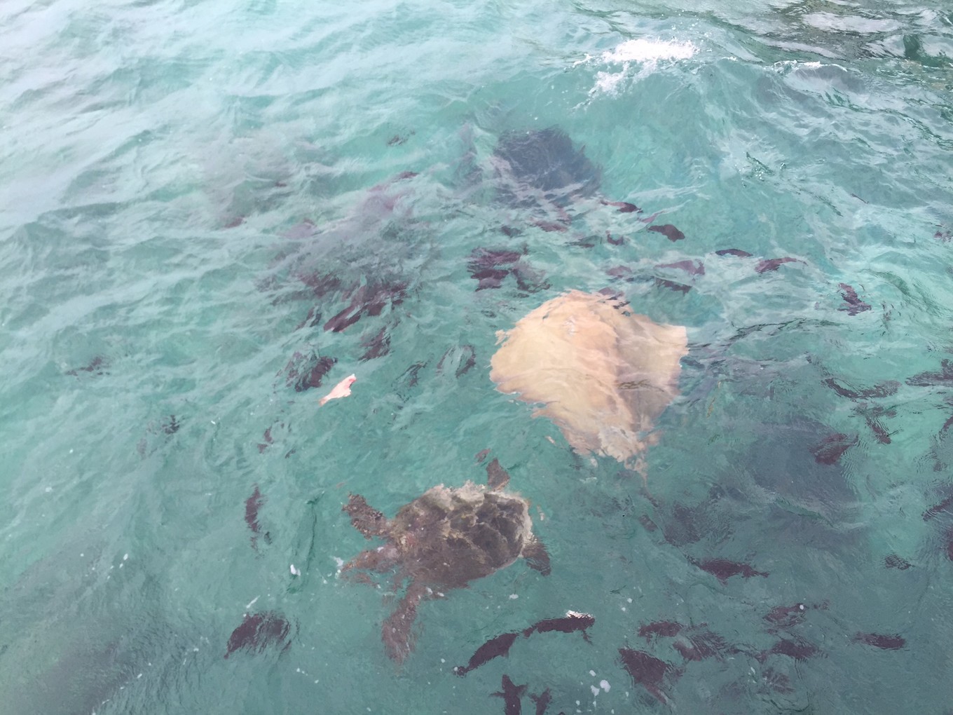 马尔代夫来北京,马尔代夫来三里屯