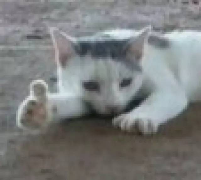 男士妆前乳评测,妆前乳男士测评