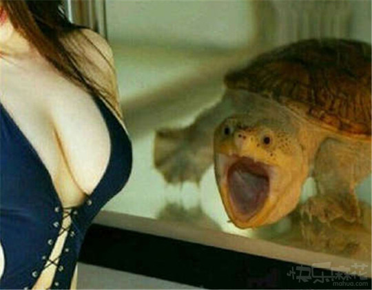 他性无能你是怎么知道的