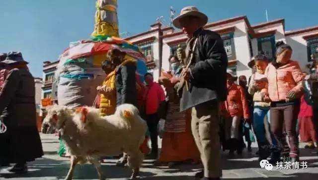 不谈风景,不谈人性谈风景