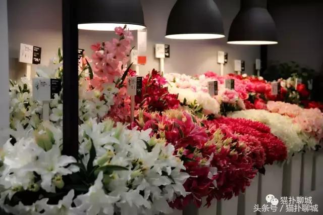 带聊城网友提前感受济南宜家的魅力,不仅人多购买力也爆棚