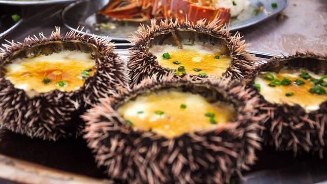 面朝大海春暖花开旅游,面朝大海春暖花开4