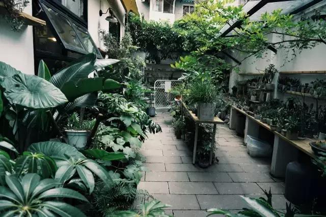 不泡酒吧泡茶社，成都这6家文艺茶社里藏着年轻人的诗和远方