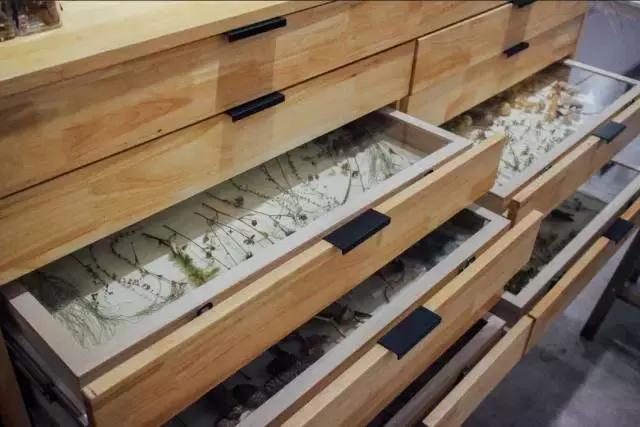 不泡酒吧泡茶社，成都这6家文艺茶社里藏着年轻人的诗和远方