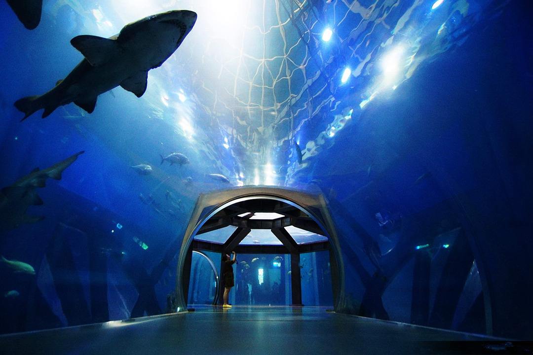 大连景点推荐冬天,大连东港旅游景点