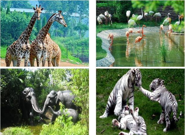 大连景点推荐冬天,大连东港旅游景点