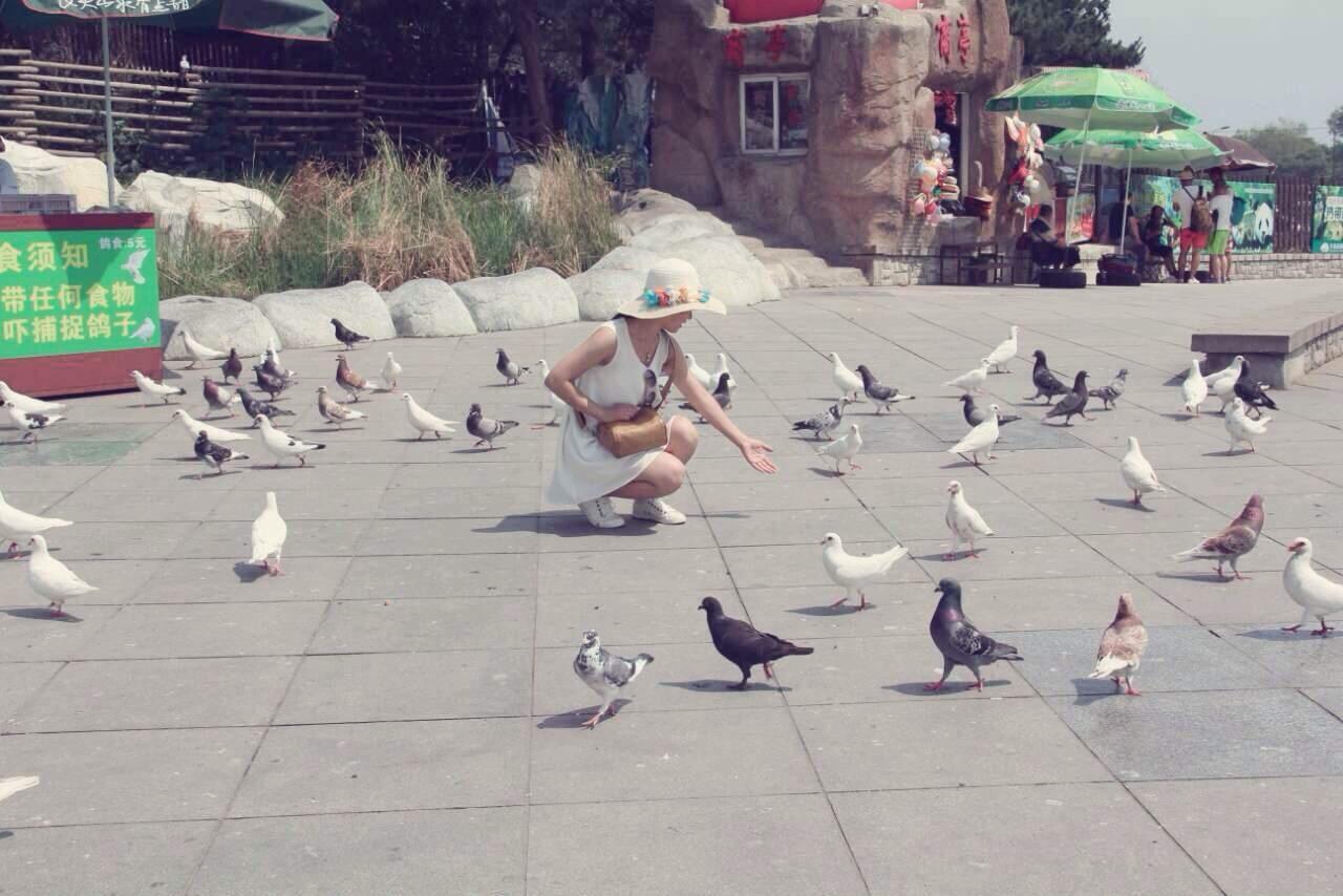 大连景点推荐冬天,大连东港旅游景点