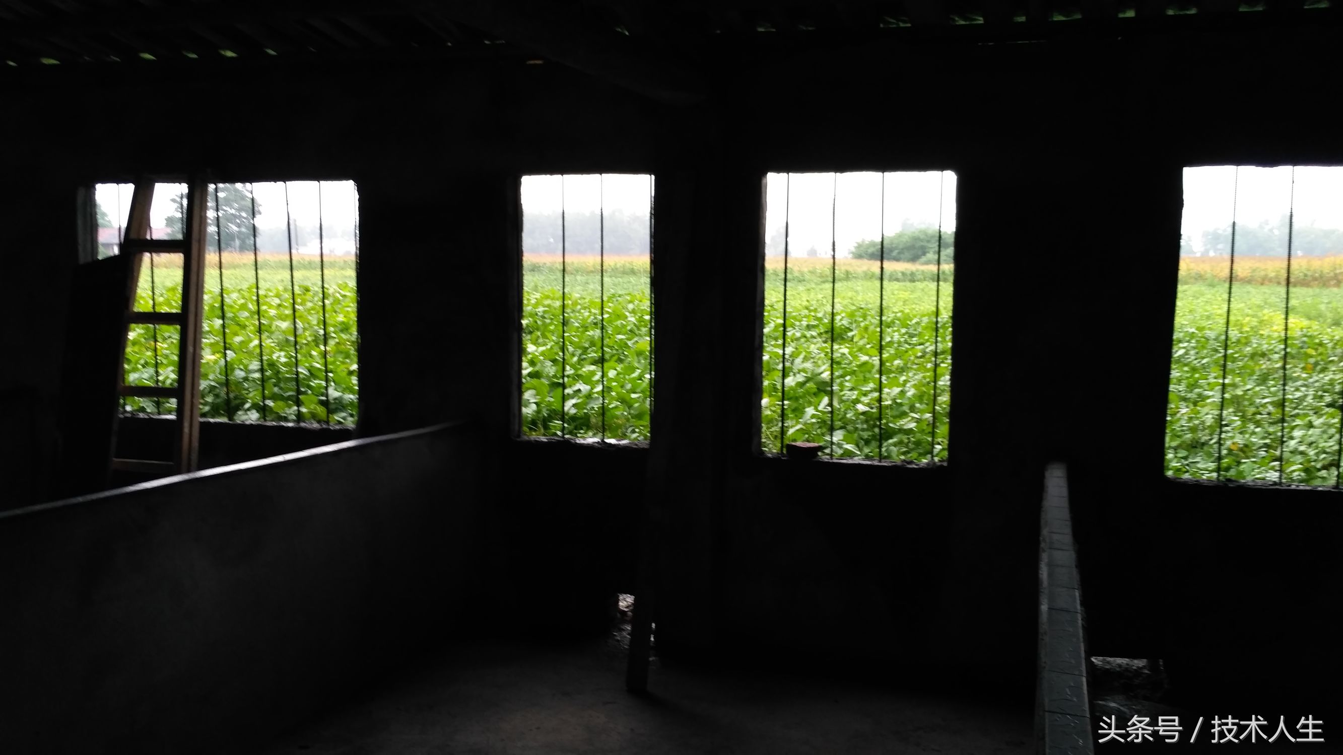 修电视把其他地方修坏了,修电视的坑