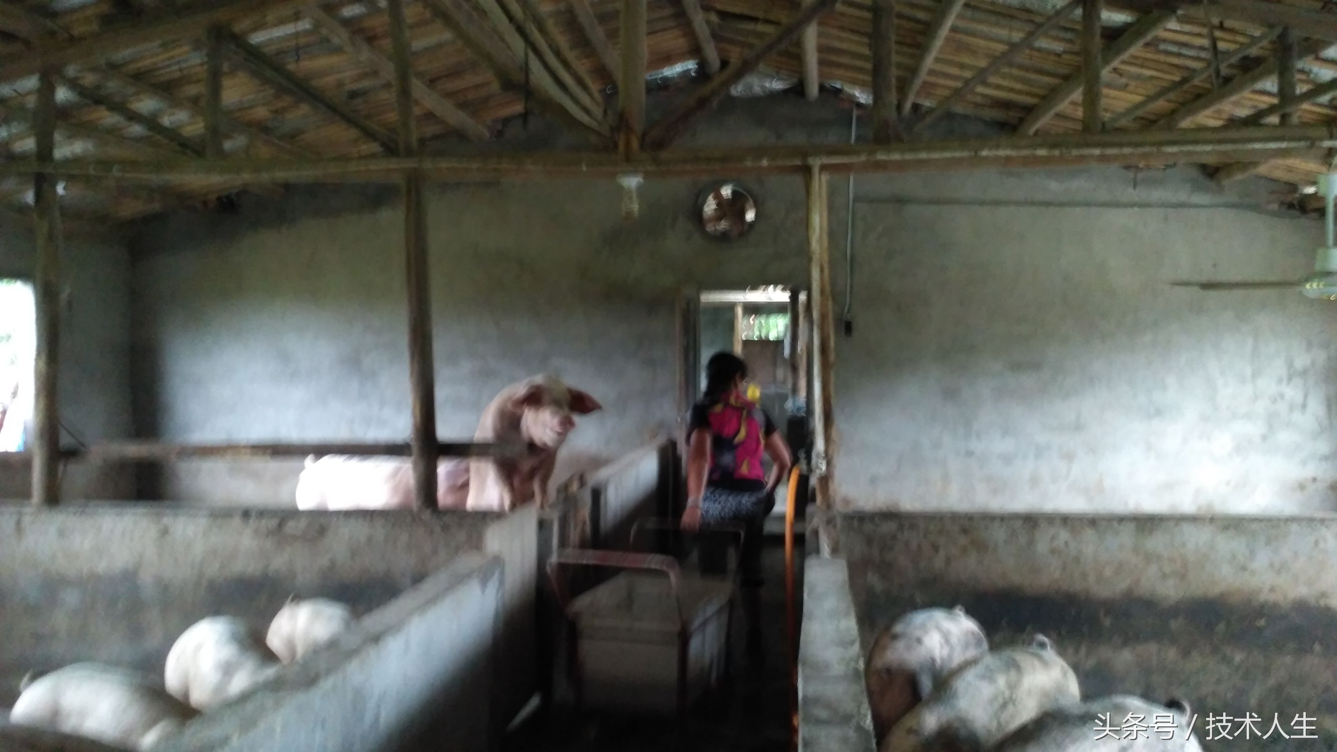 修电视把其他地方修坏了,修电视的坑