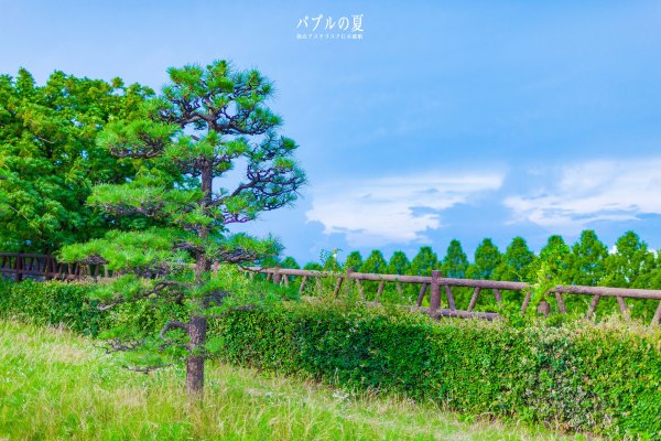 「丽星邮轮」日本，再一次漂洋过海来看你