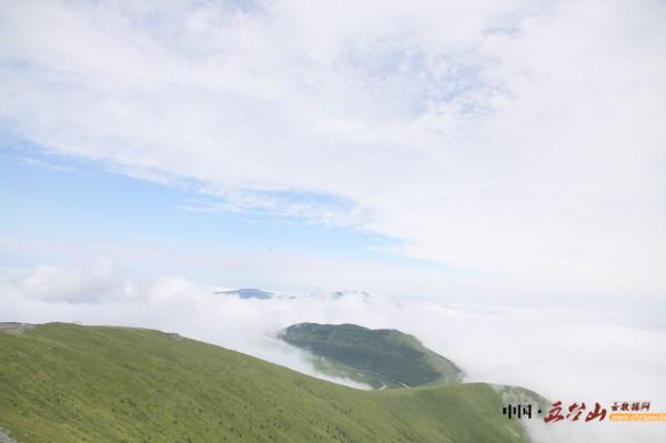 不经历风雨怎么见彩虹作文素材,不经历风雨怎么见彩虹英文