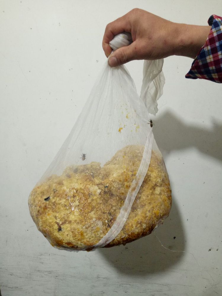 独霸牛头山，只为自己的甜蜜事业/临海味道