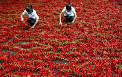 邯郸好吃好玩的地方排行榜,邯郸市好吃好玩的地方