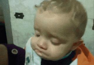 在荷兰真实感受,在荷兰两年的感受