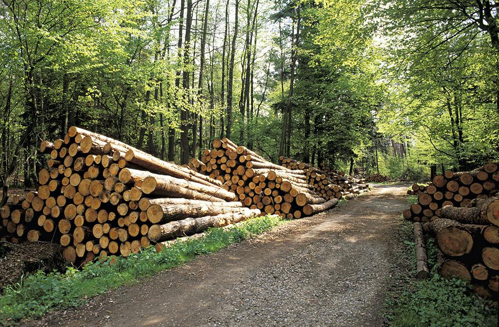 析字联中的精品：此木为柴山山出