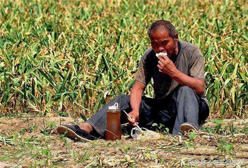 农民买房收回土地,在城里买房了要不要把户口迁过去