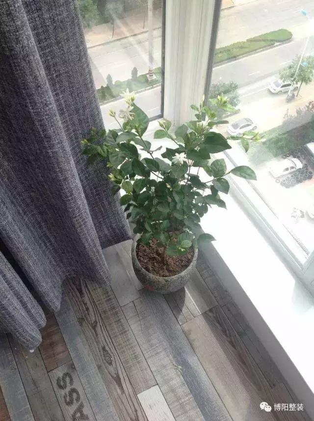 铂悦府小户型装修效果2期,烟台铂悦府装修效果图