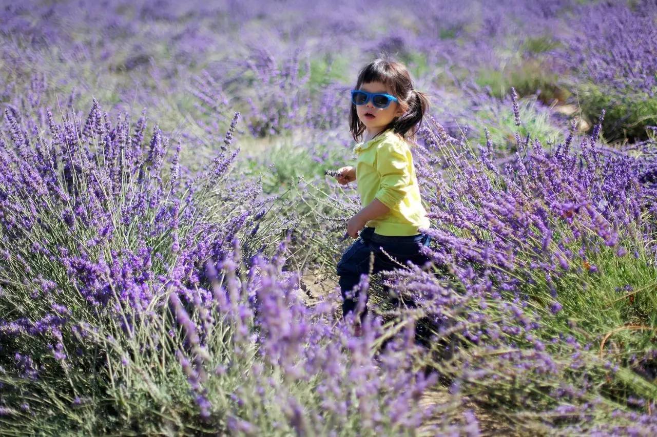 大手牵小手我们一起走,大手牵小手我们一起走图片