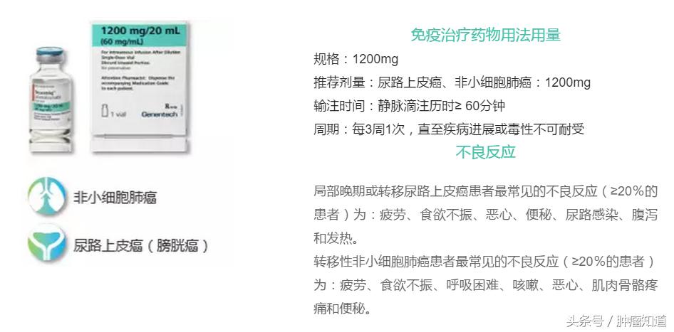 pd-1是什么制剂 (pd-1与pd-l的区别)