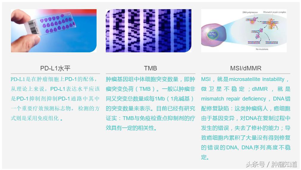 pd-1是什么制剂 (pd-1与pd-l的区别)