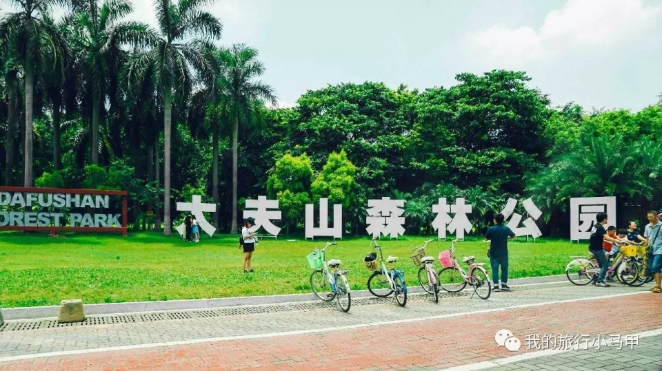 珠海长隆野生动物园旅游攻略,广州长隆自驾游旅游攻略