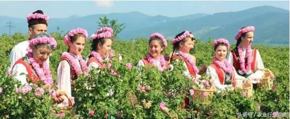 如何实现企业的高收益,如何实现公司价值最大化目标