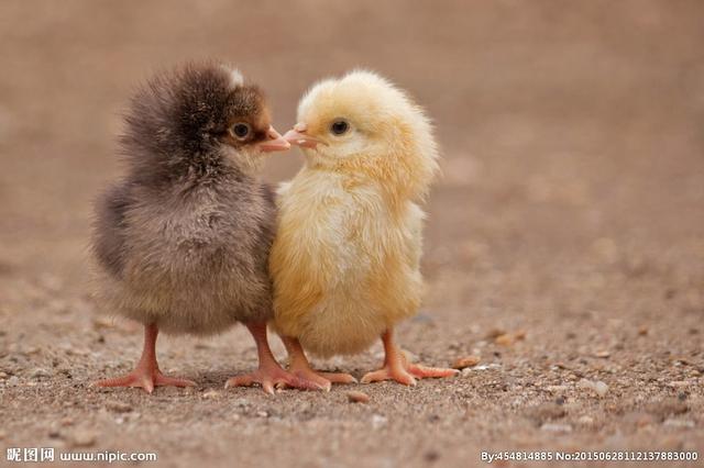 详解霉菌的危害和应对方案