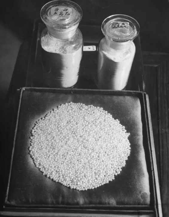 民国时期中药店,敢养这个动物,药店老板胆子太大了!