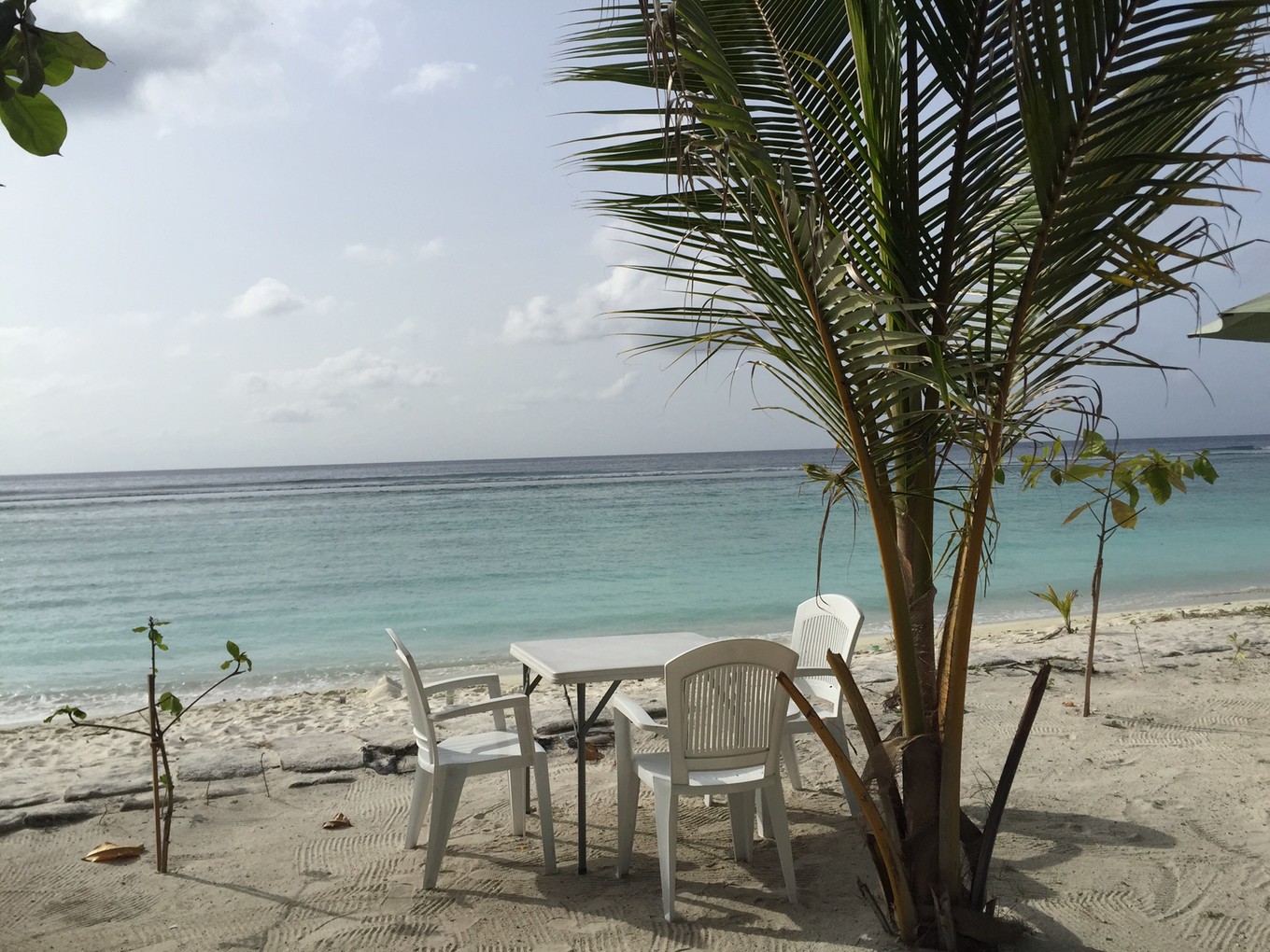 马尔代夫来北京,马尔代夫来三里屯