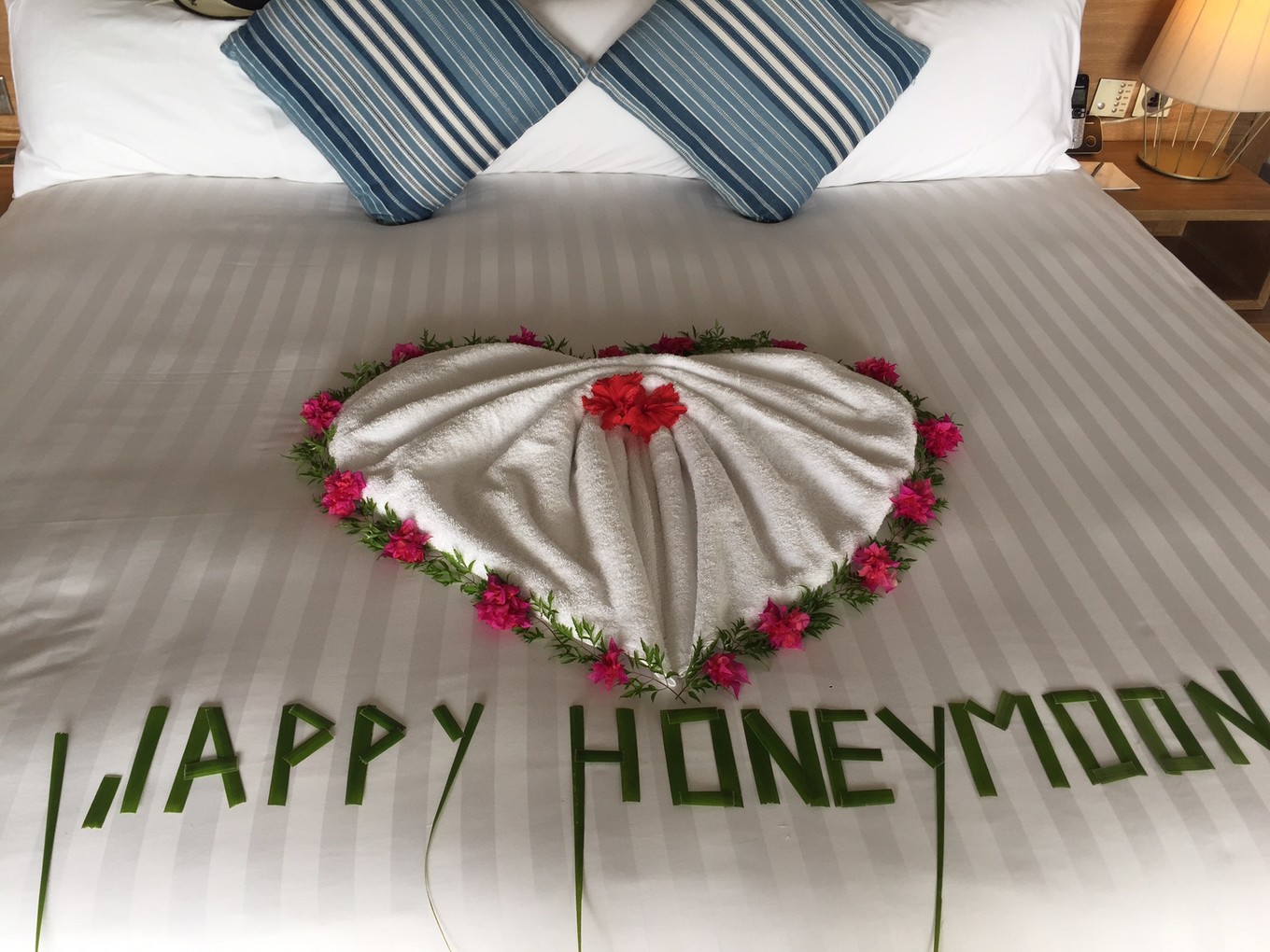 马尔代夫来北京,马尔代夫来三里屯