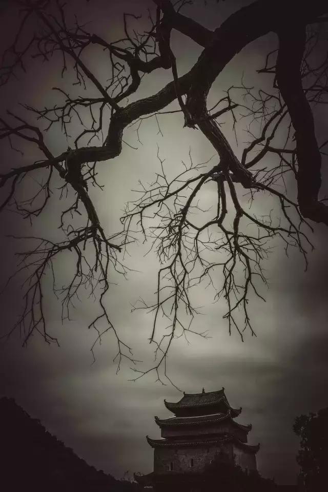 阅图是什么,阅图是什么意思